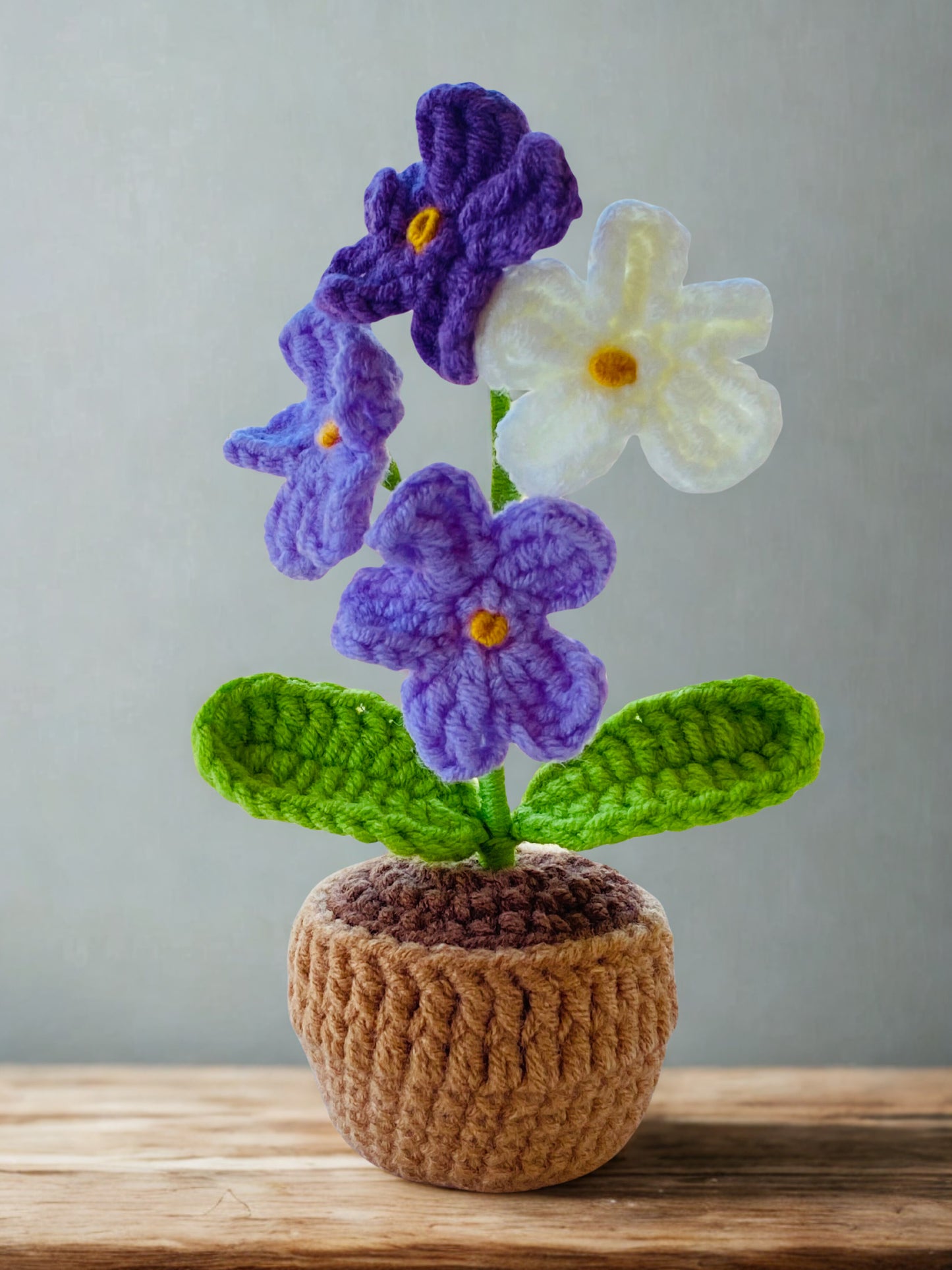 Crochet Pot Plant | Forget me not