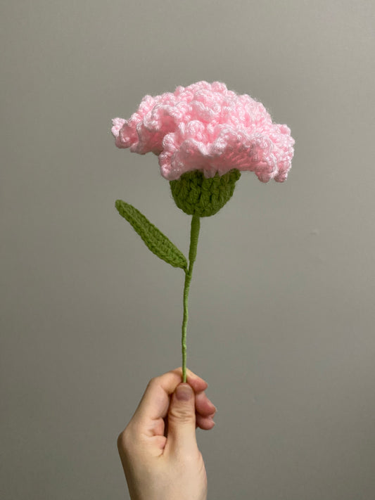 Crochet Flower ｜ Carnation