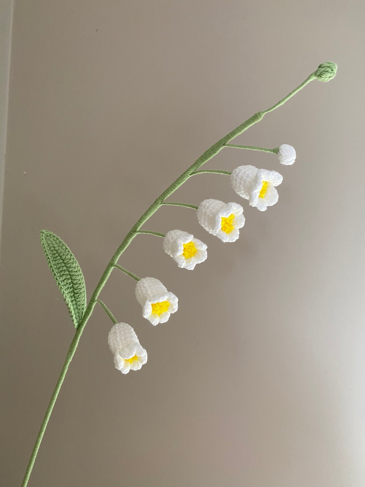 Lily of the valley