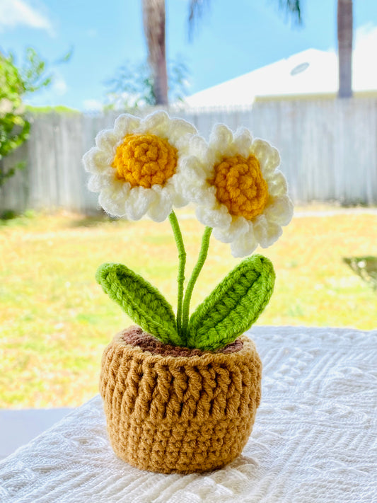 Crochet Pot Plant | Daisy