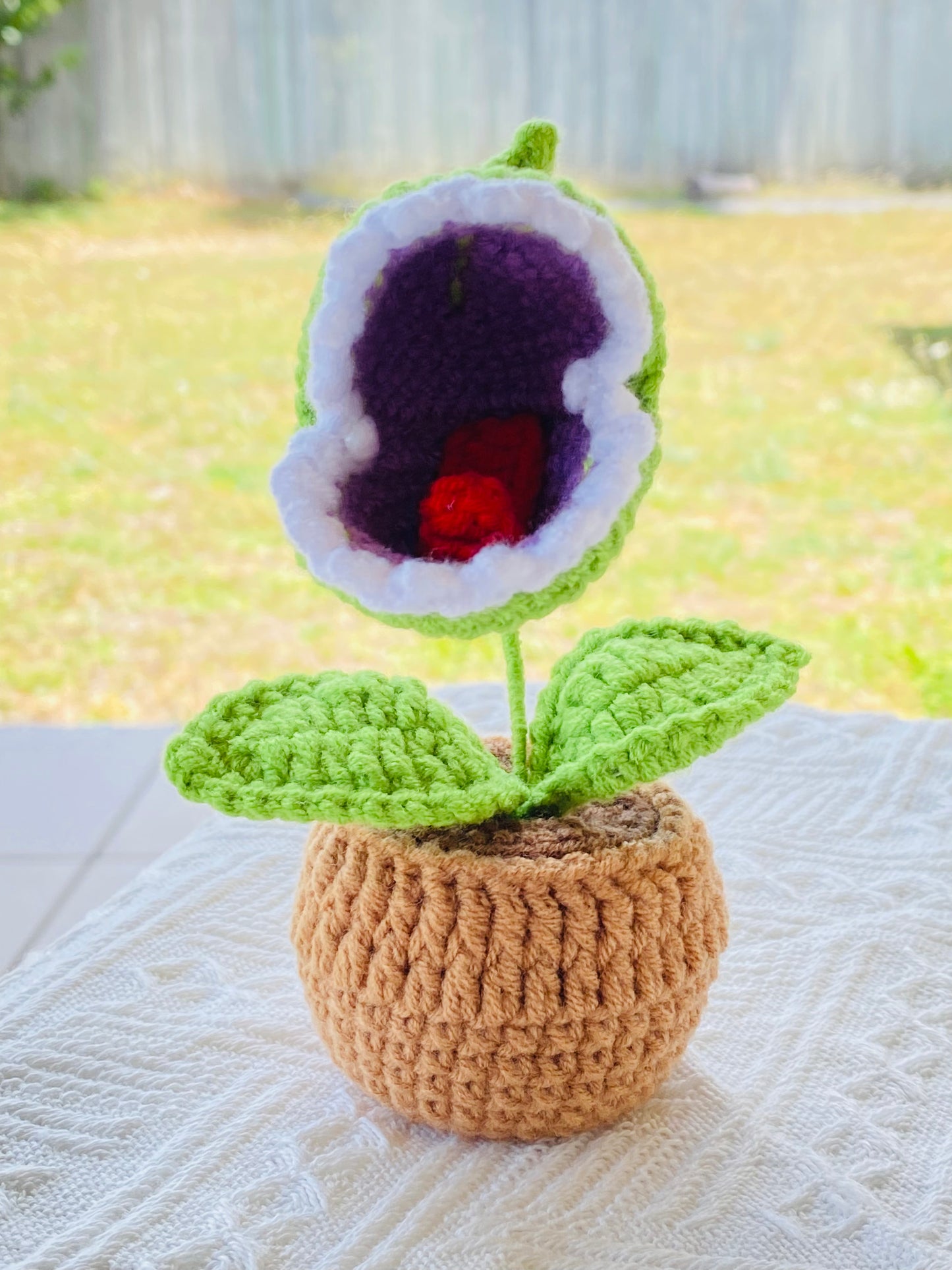 Crochet Pot Plant | Flytrap