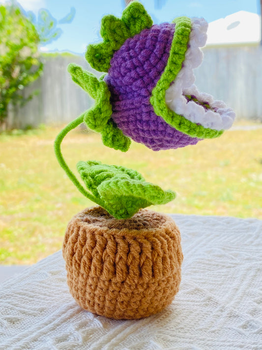 Crochet Pot Plant | Flytrap