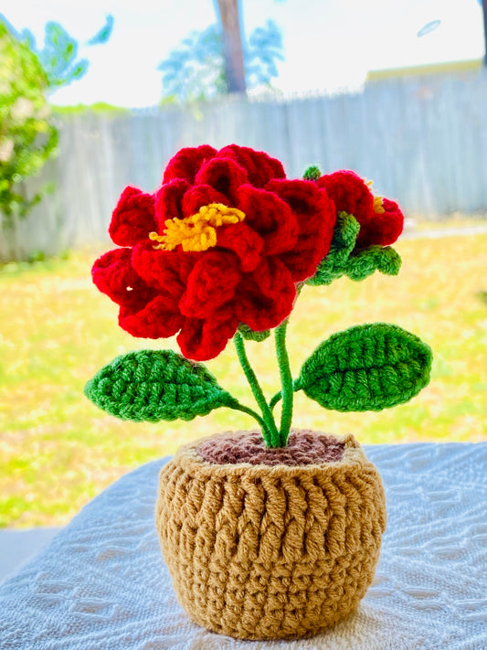 Crochet Pot Plant | Camellia