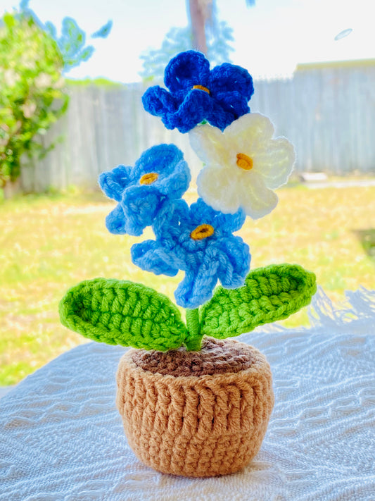 Crochet Pot Plant | Forget me not