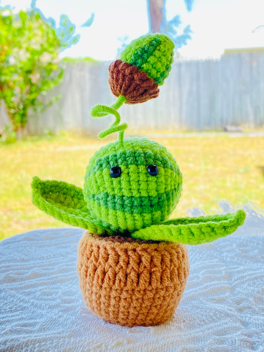 Crochet Pot Plant | Watermelon