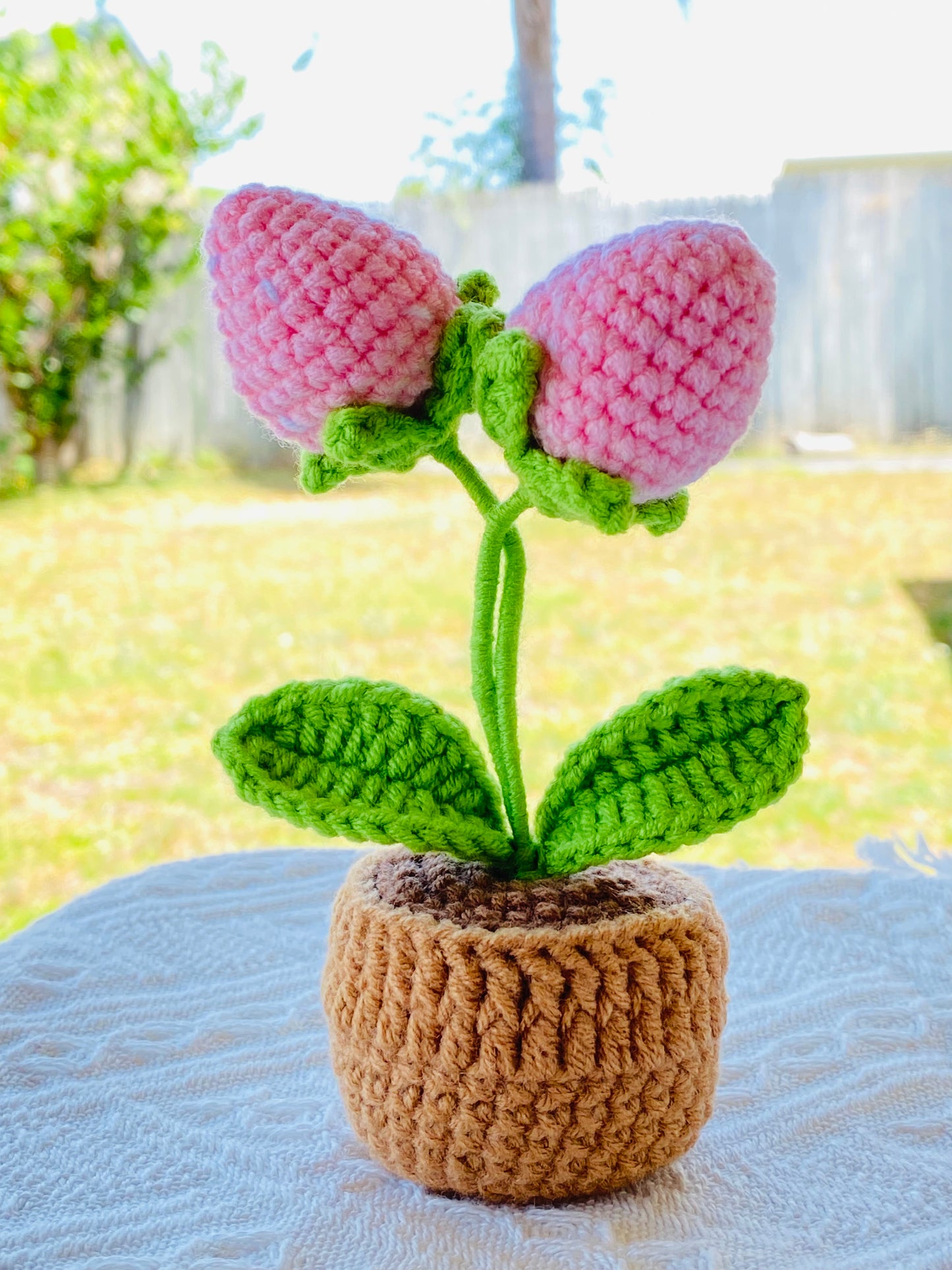 Crochet Pot Plant | Strawberry