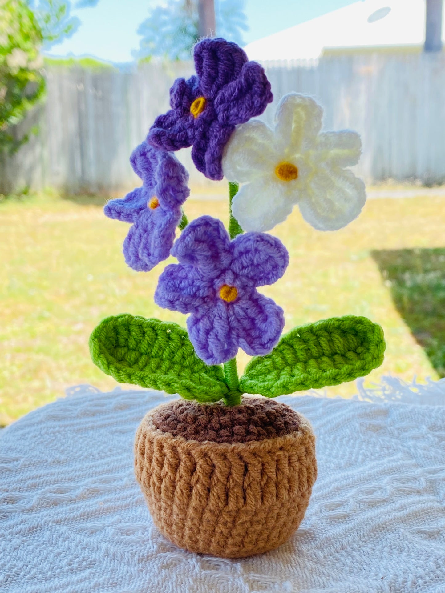 Crochet Pot Plant | Forget me not
