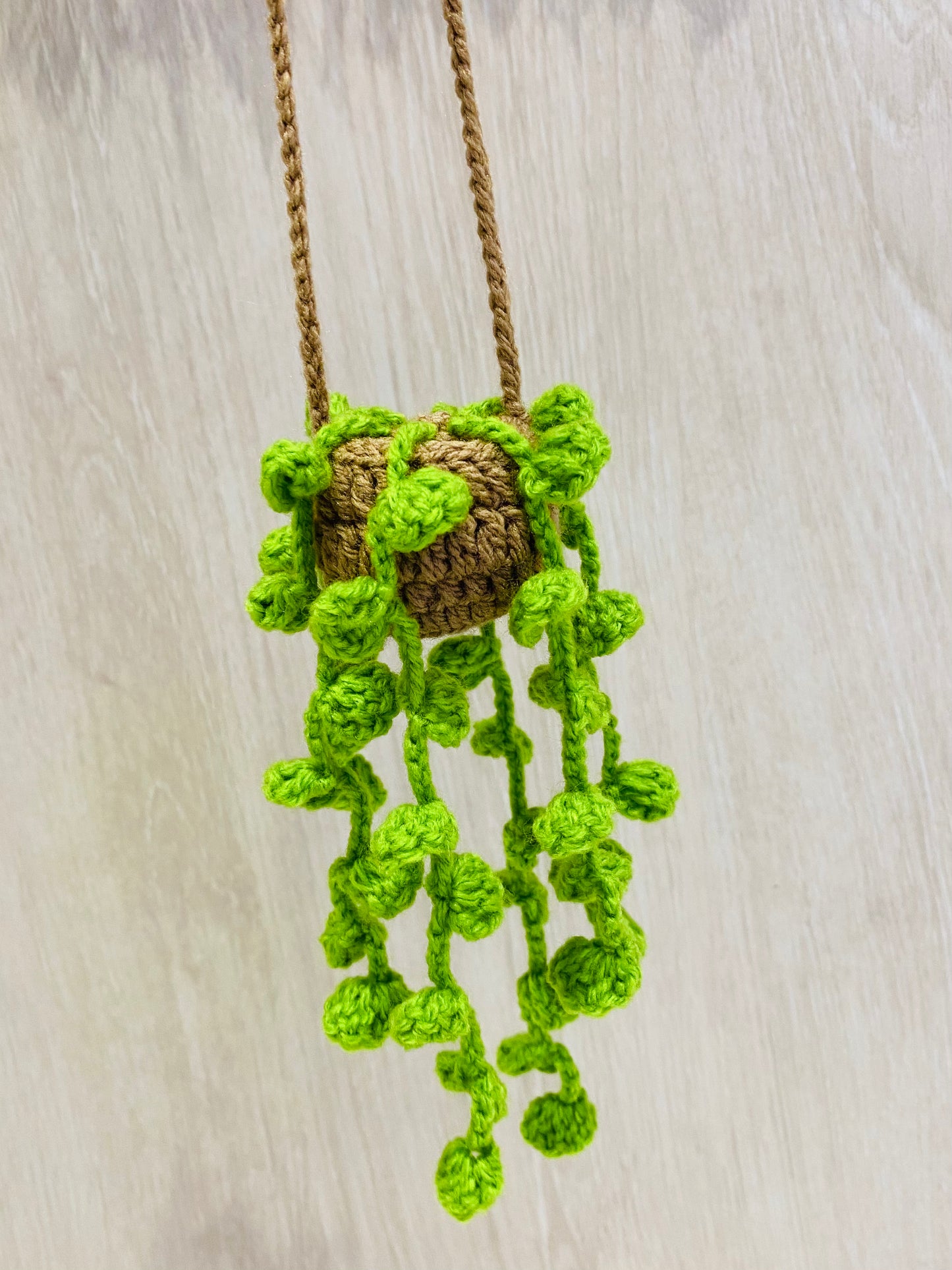 Crochet Pot Plant | Hanging Plants