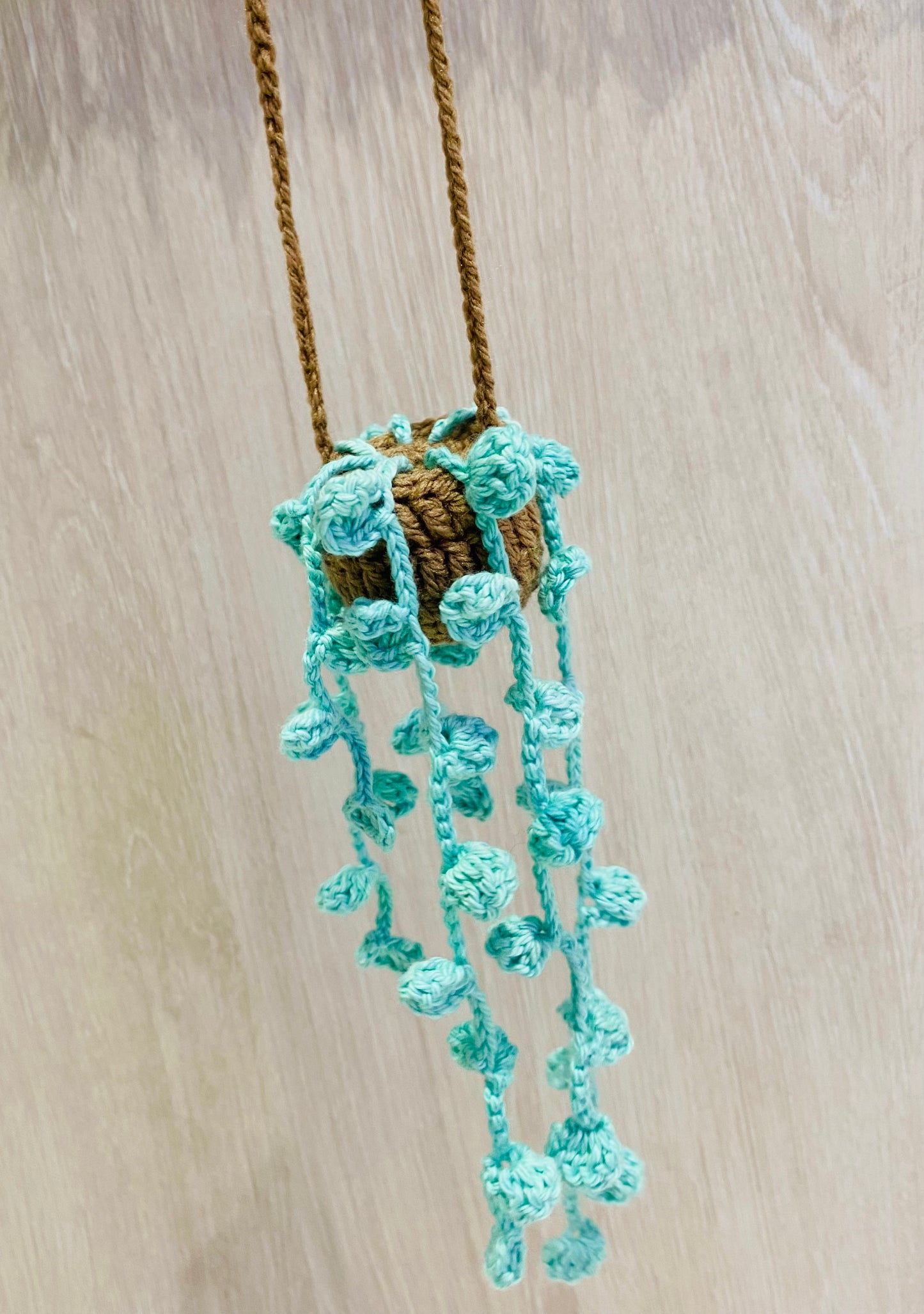 Crochet Pot Plant | Hanging Plants