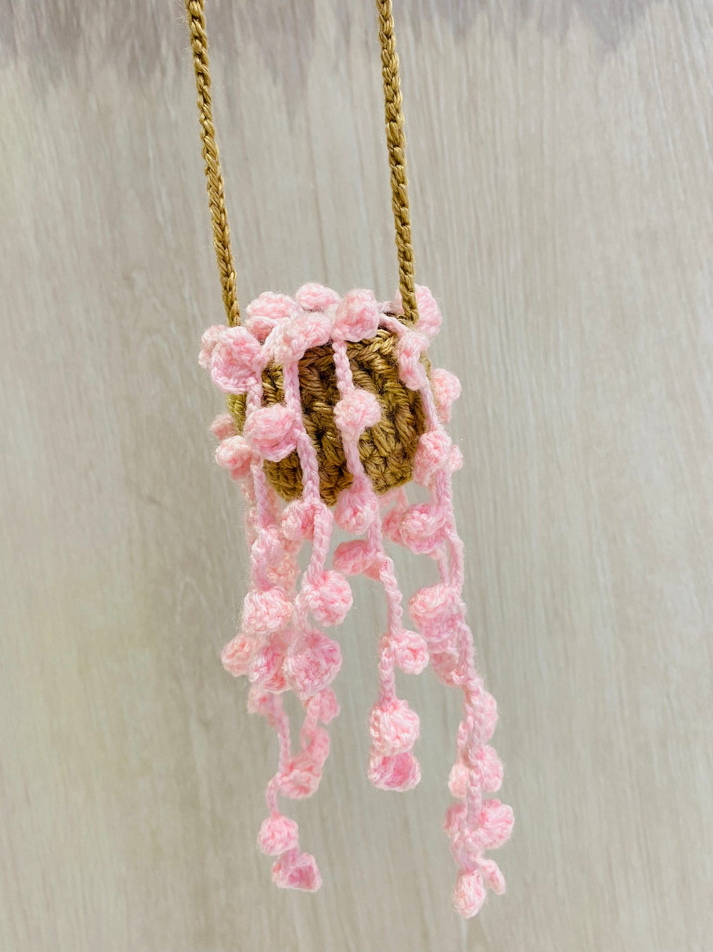 Crochet Pot Plant | Hanging Plants