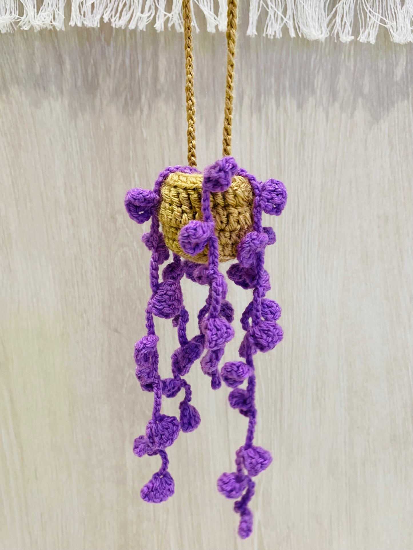 Crochet Pot Plant | Hanging Plants