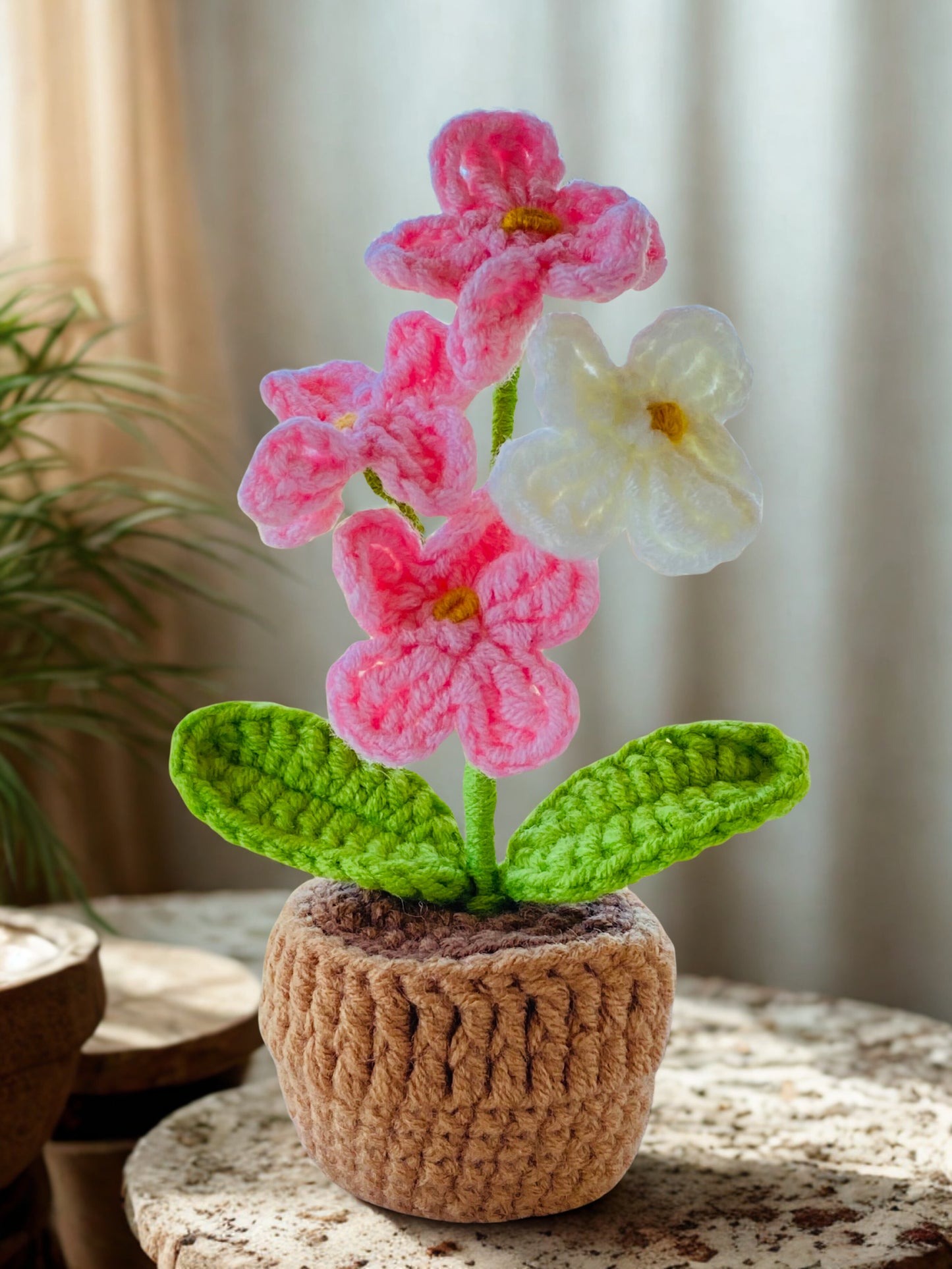 Crochet Pot Plant | Forget me not