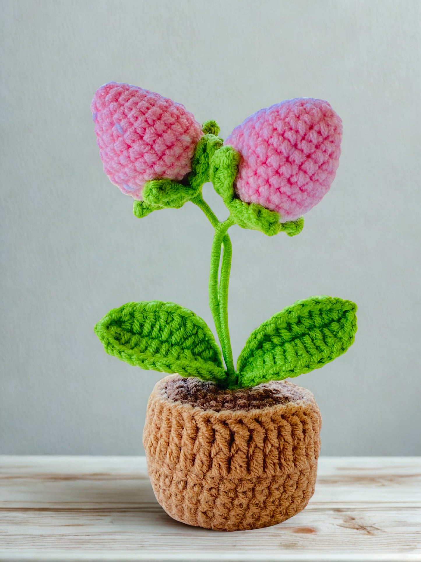 Crochet Pot Plant | Strawberry