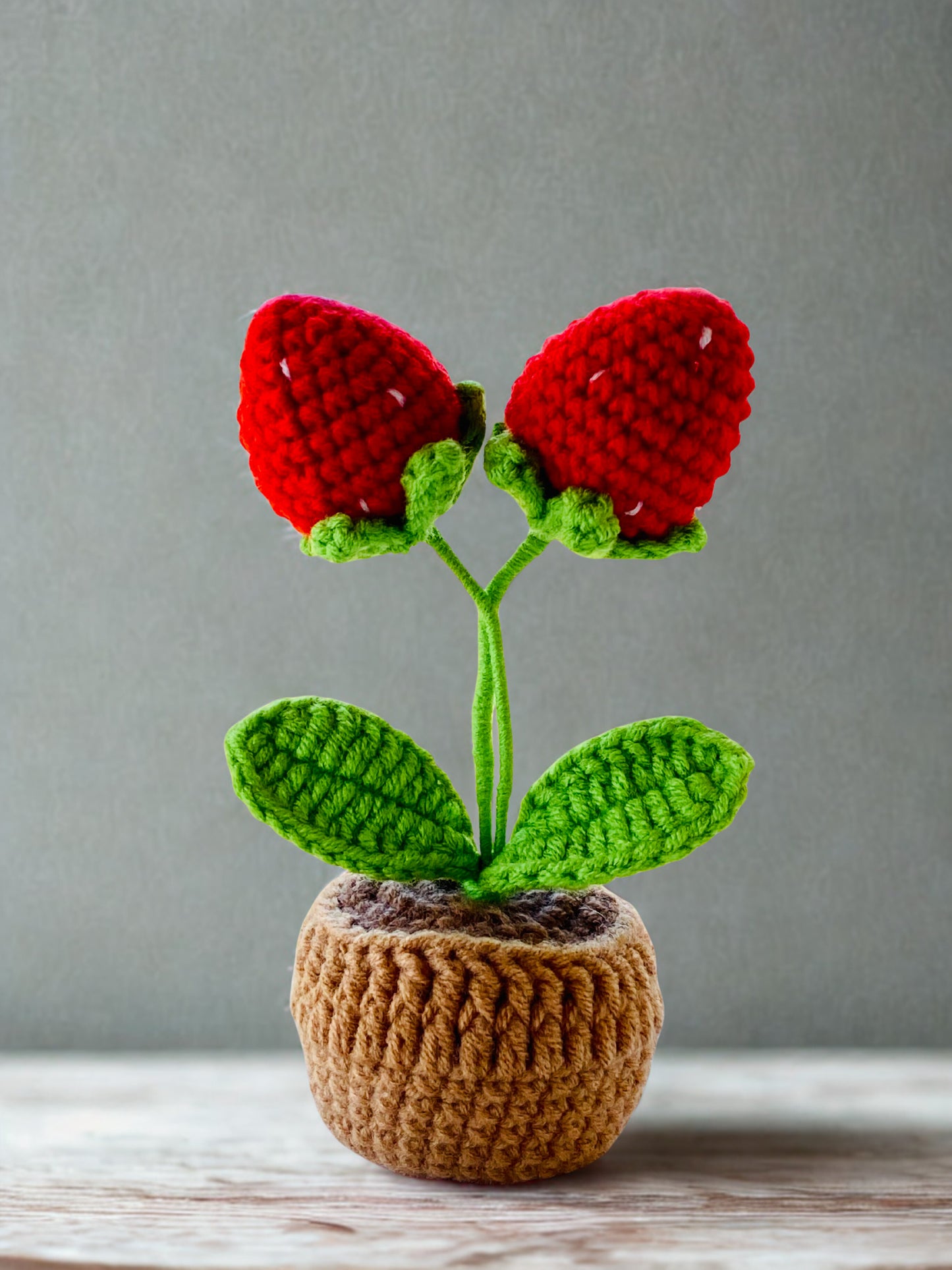 Crochet Pot Plant | Strawberry