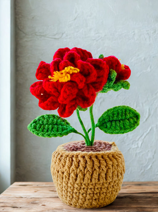 Crochet Pot Plant | Camellia
