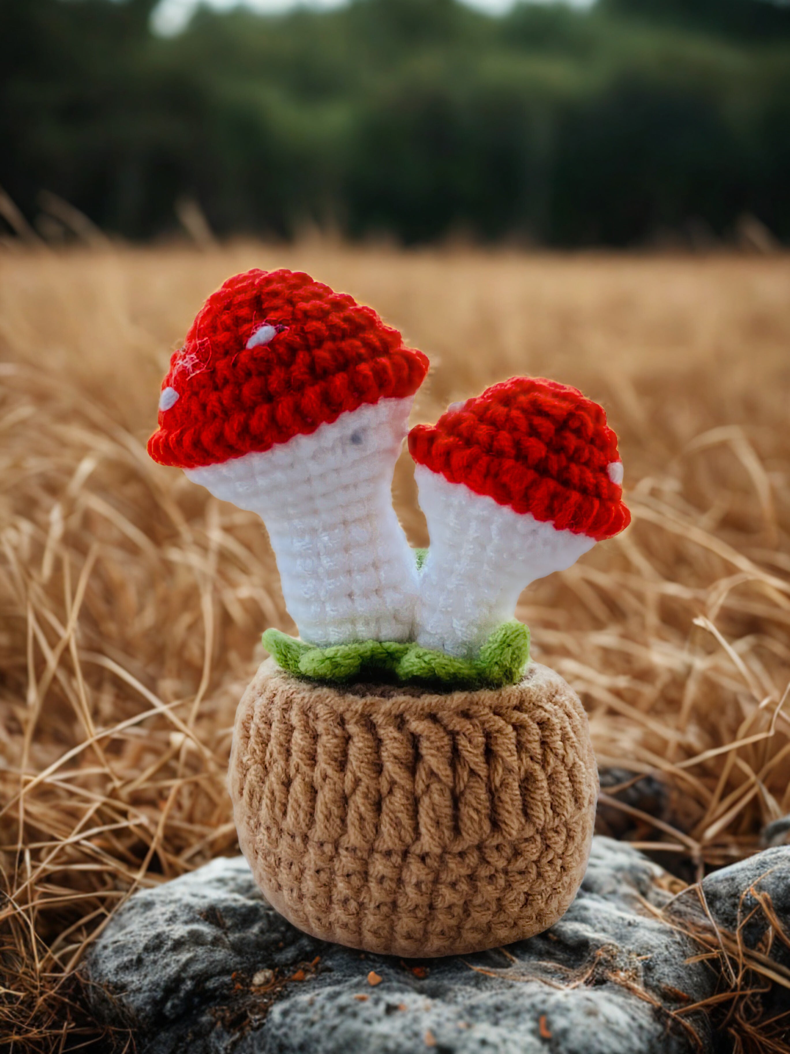 Crochet Pot Plant | Mushroom