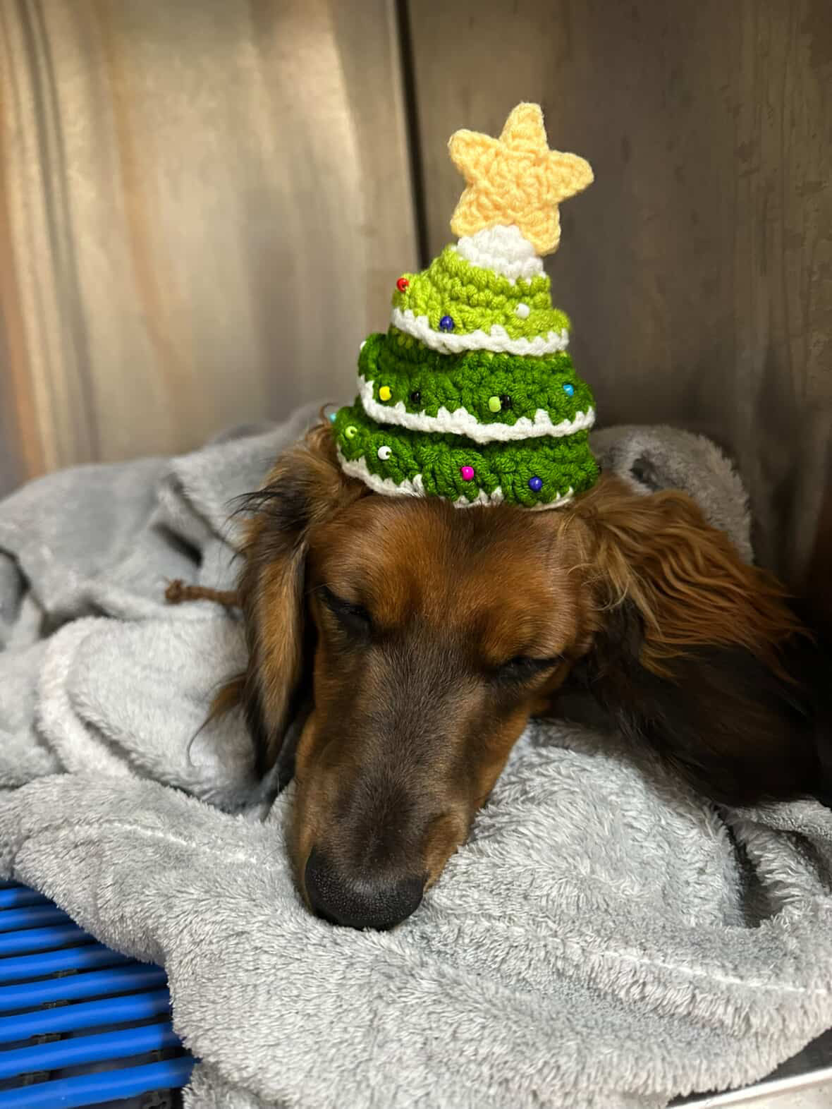 Pet Collars | Christmas Tree Hat