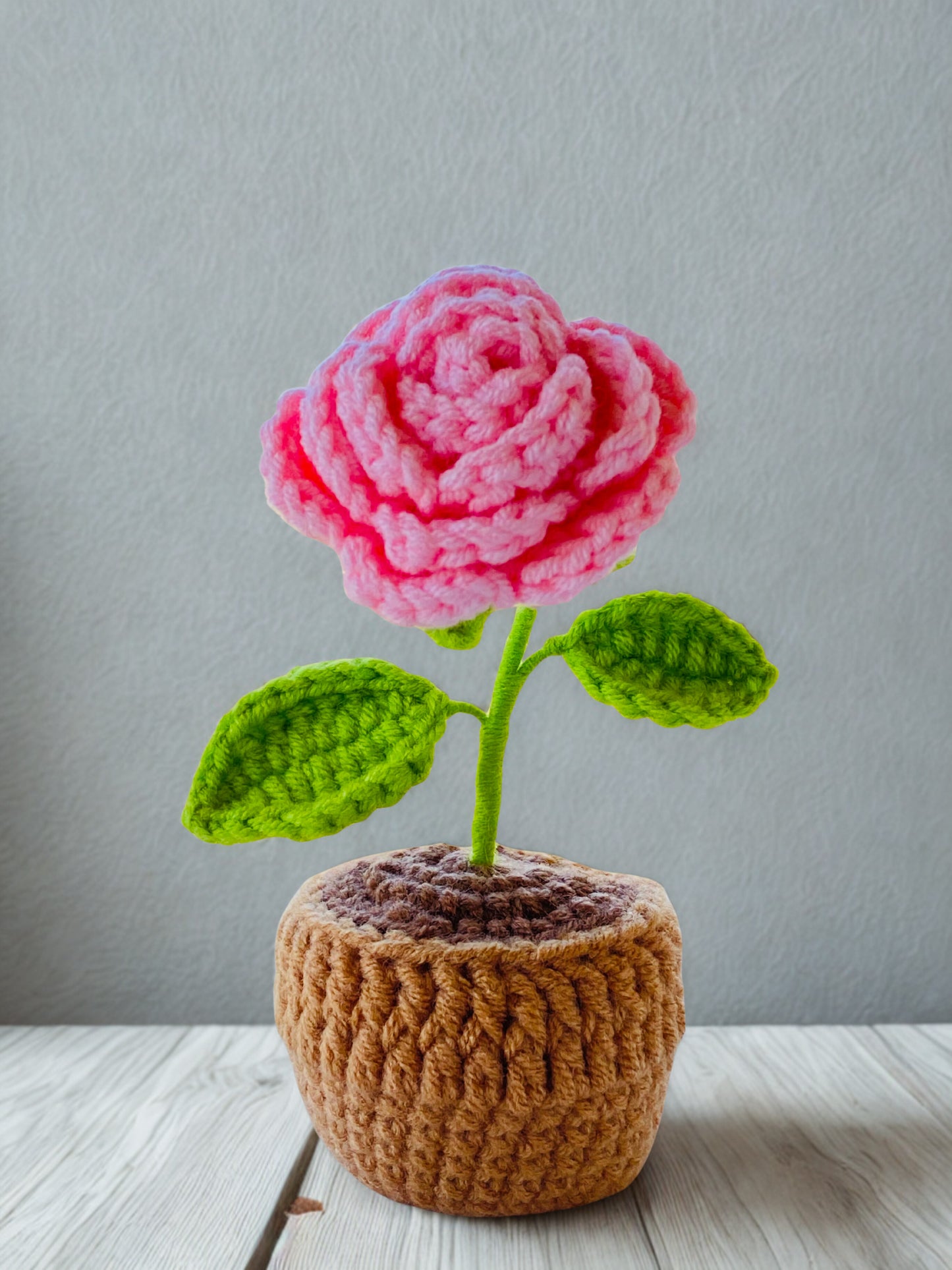 Crochet Pot Plant | Rose