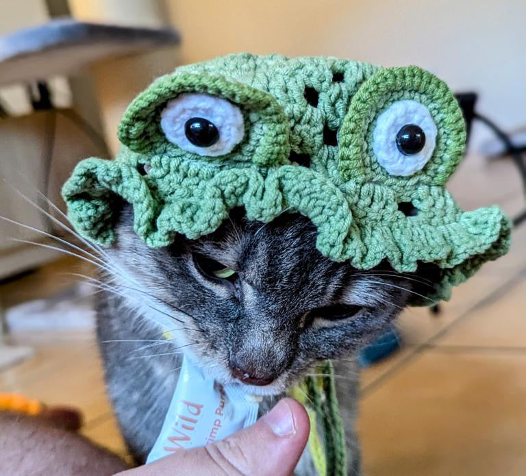 Frog hat