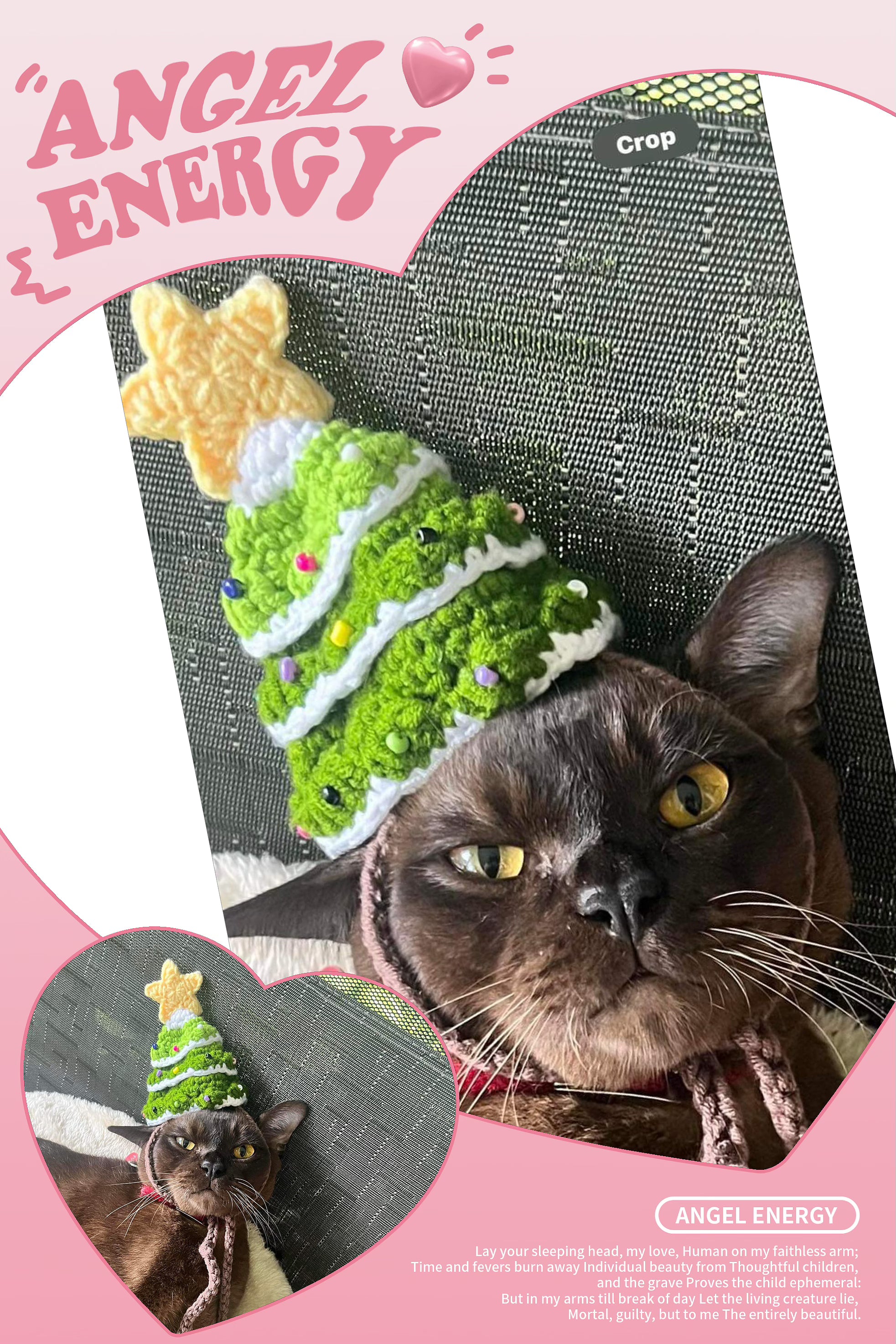 Pet Collars | Christmas Tree Hat
