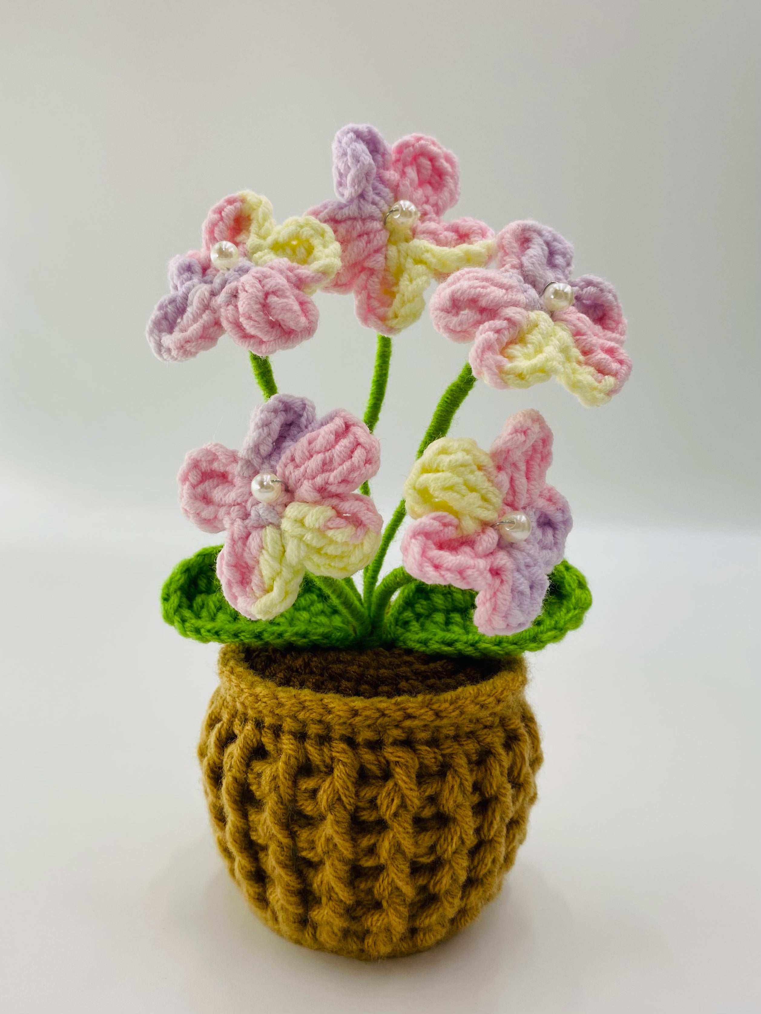 Crochet Potted Plants | Forget Me Not
