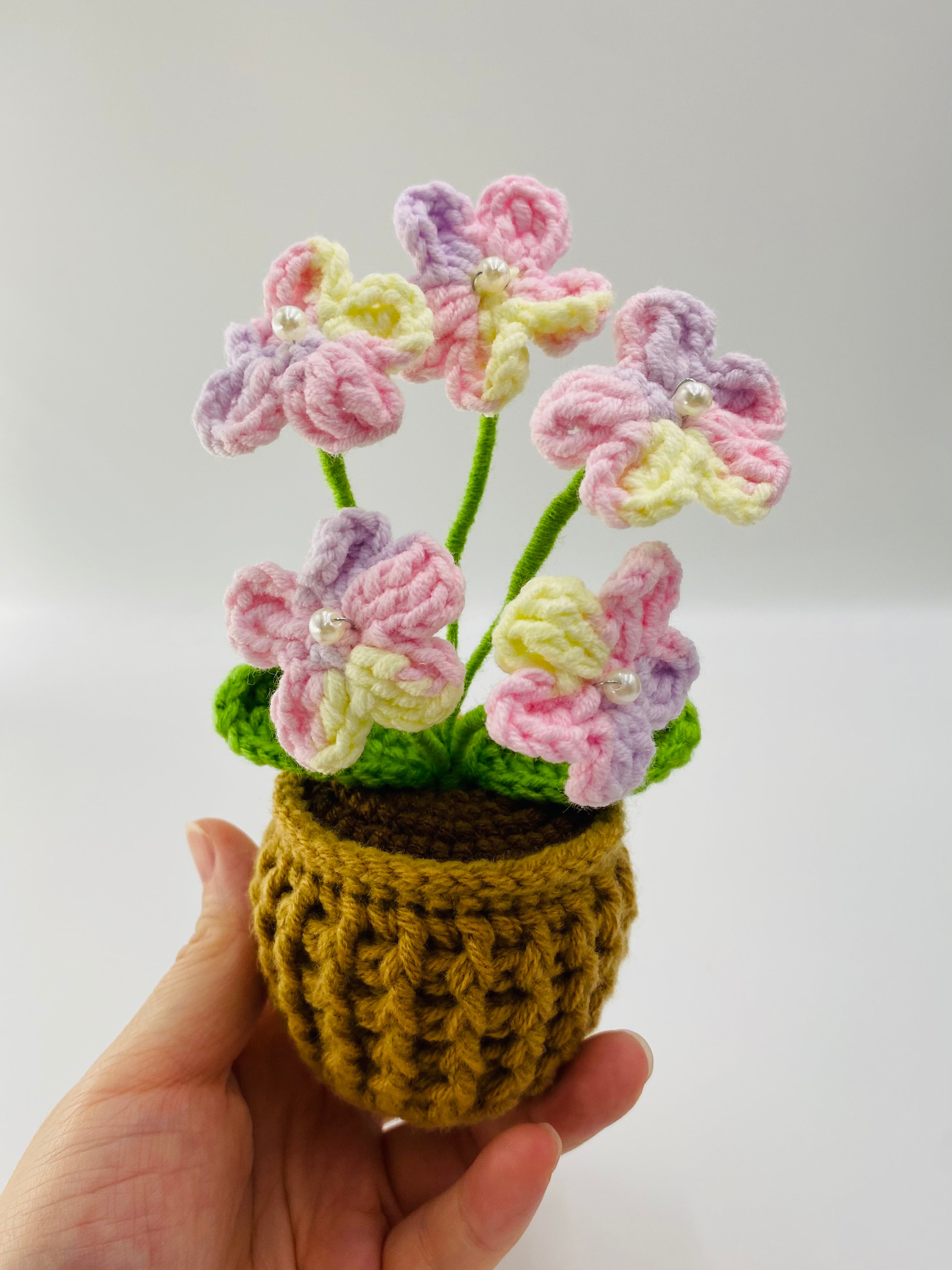 Crochet Potted Plants | Forget Me Not
