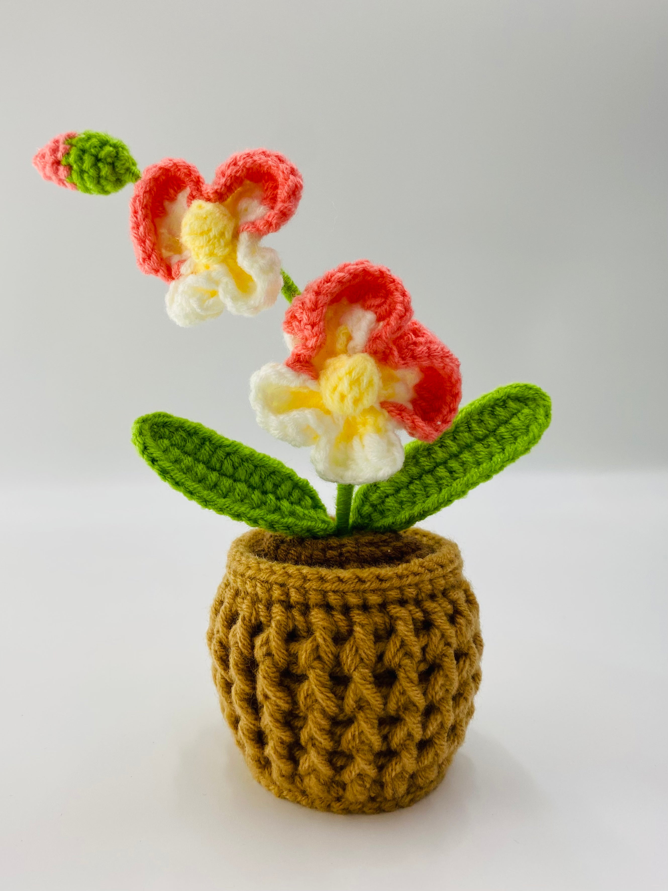 Crochet Pot Plant | Orchids