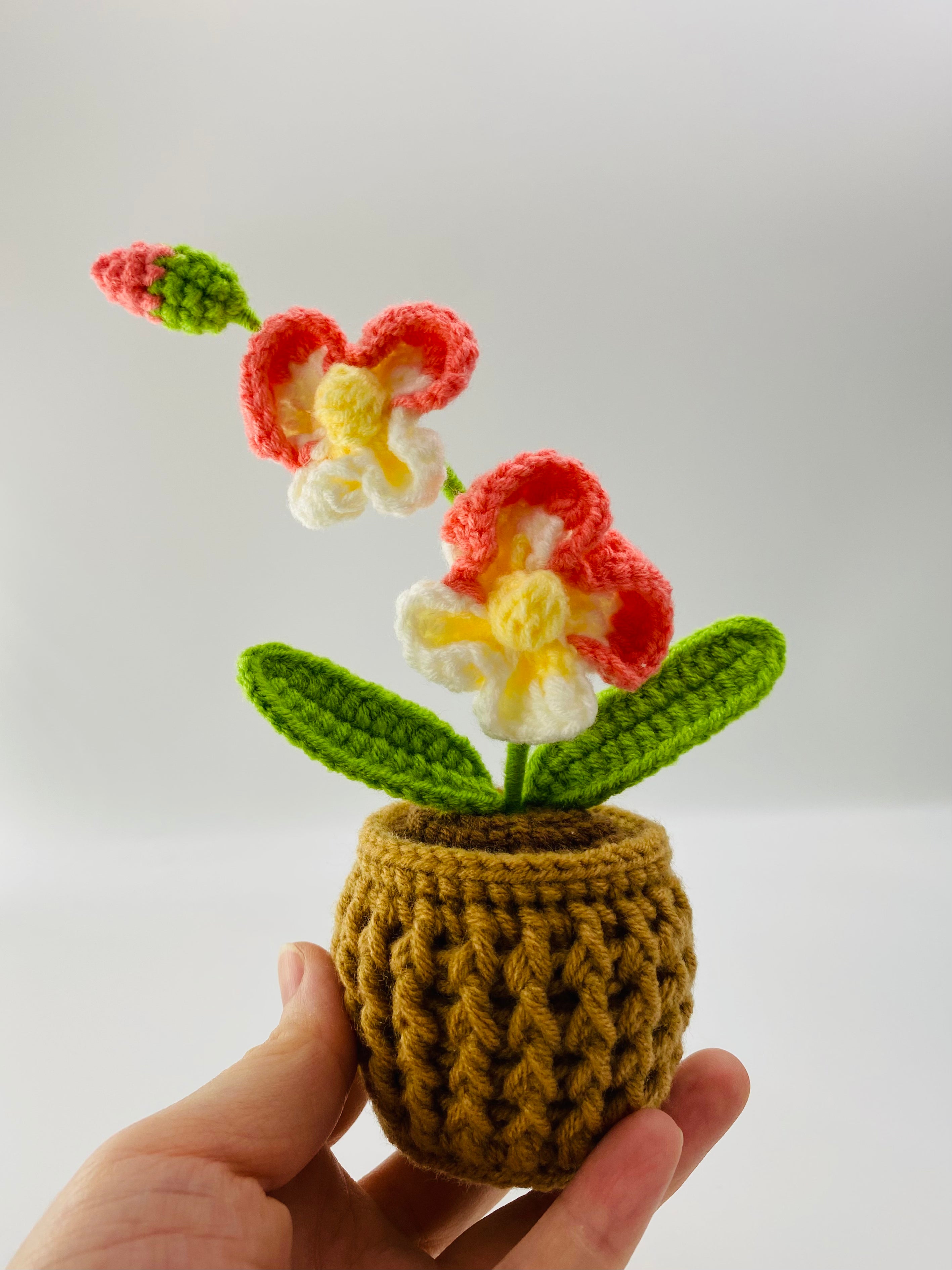Crochet Pot Plant | Orchids