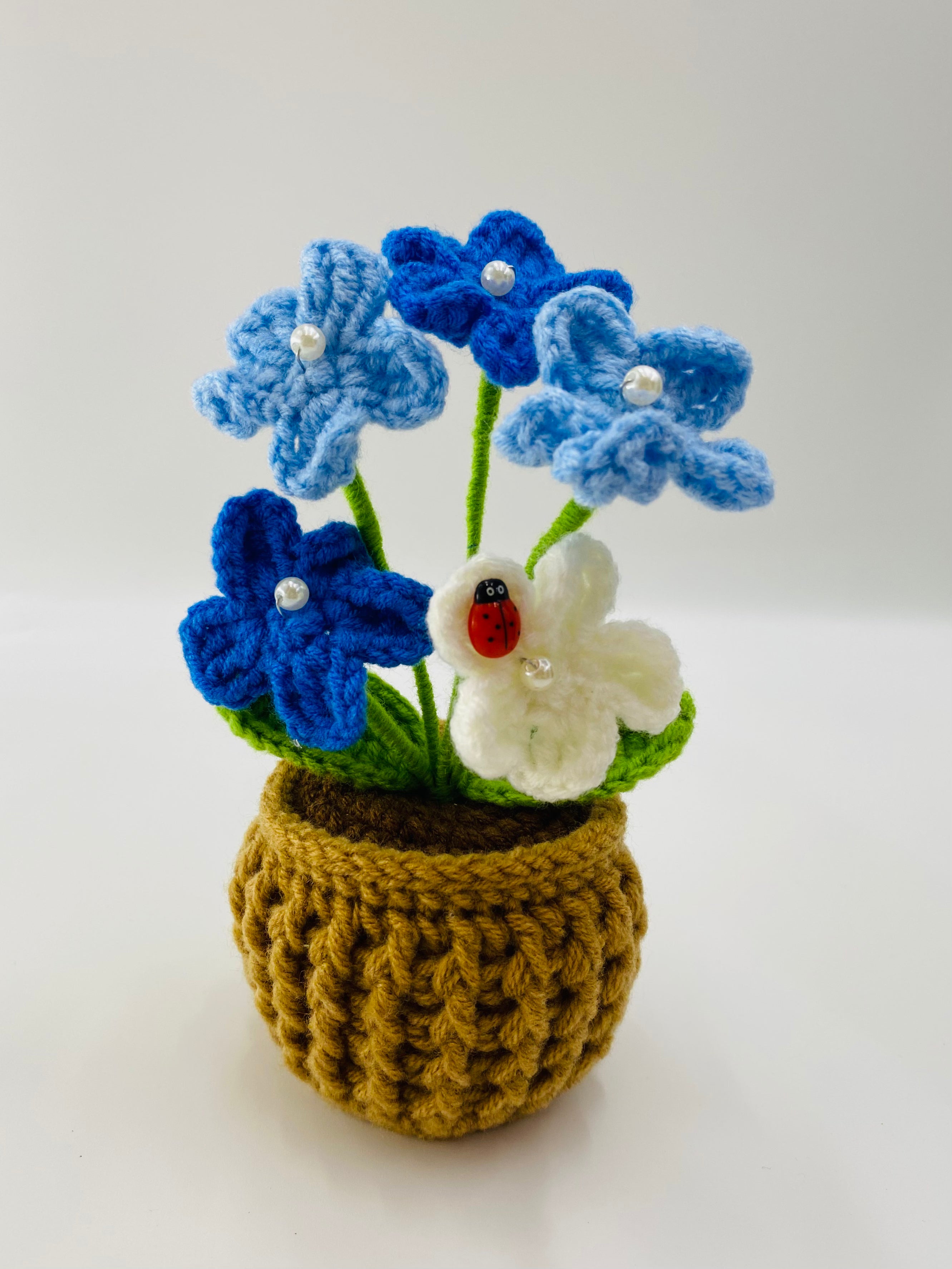 Crochet Potted Plants | Forget Me Not
