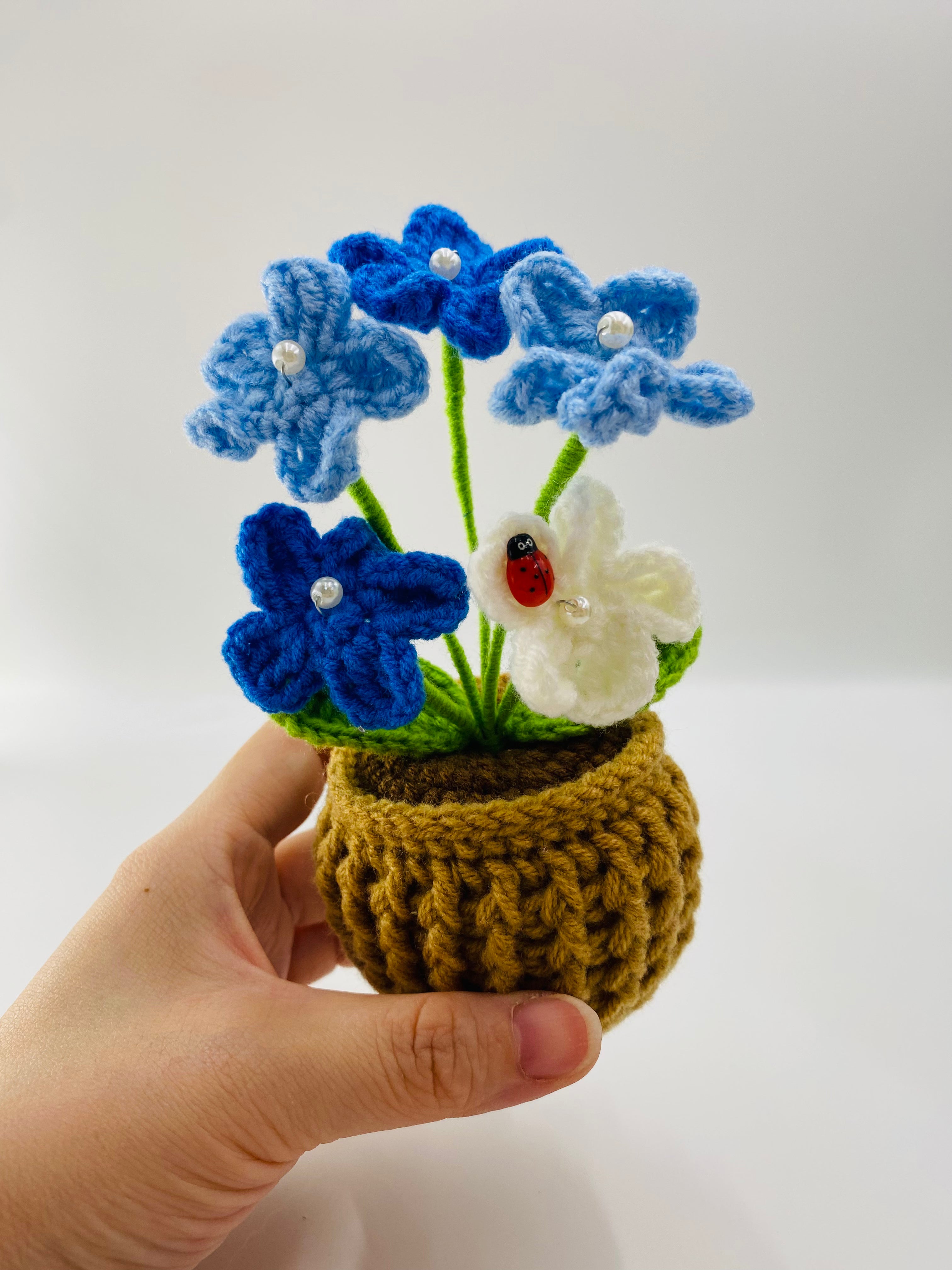 Crochet Potted Plants | Forget Me Not