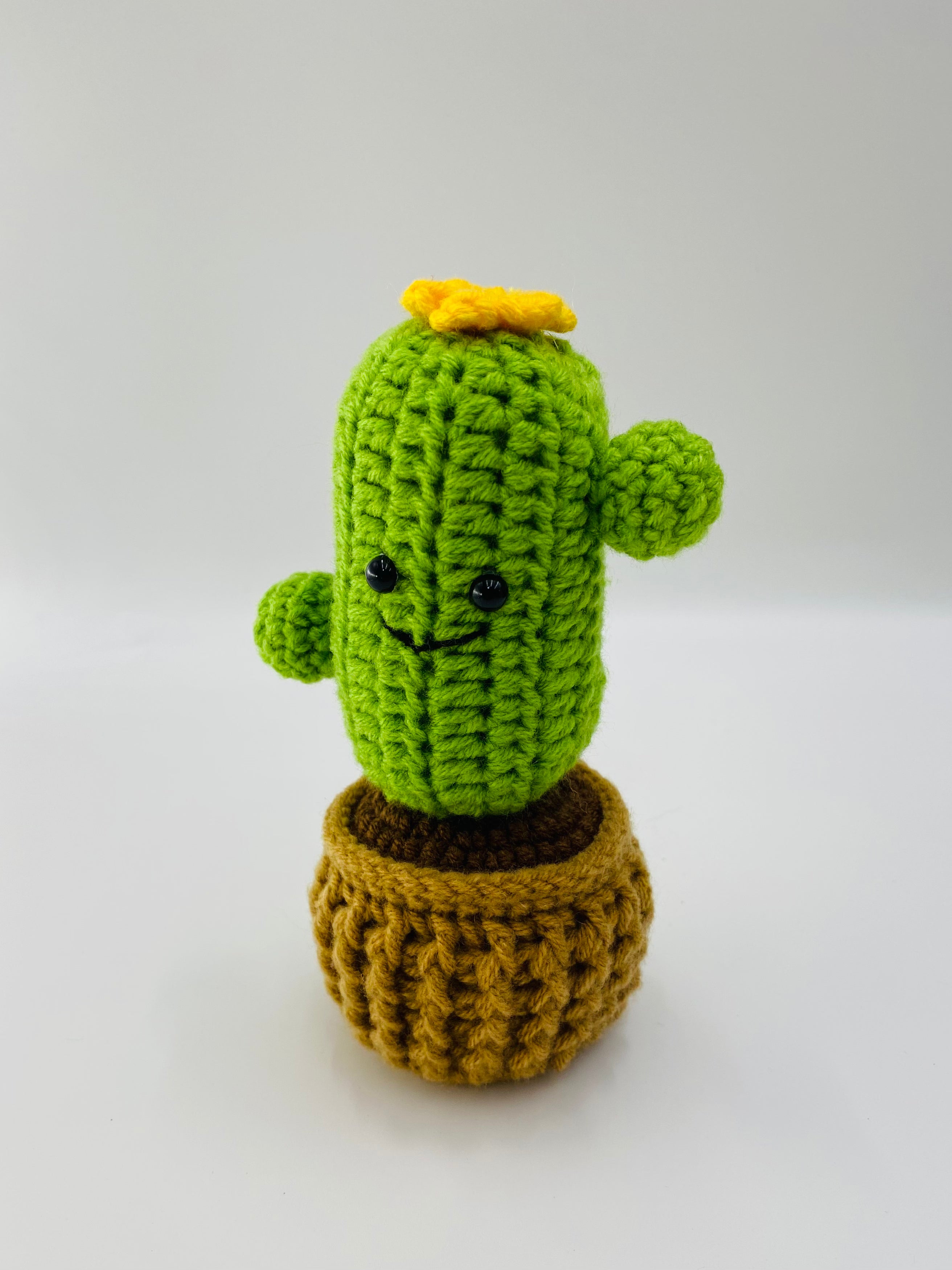 Crochet Pot Plant | Cactus