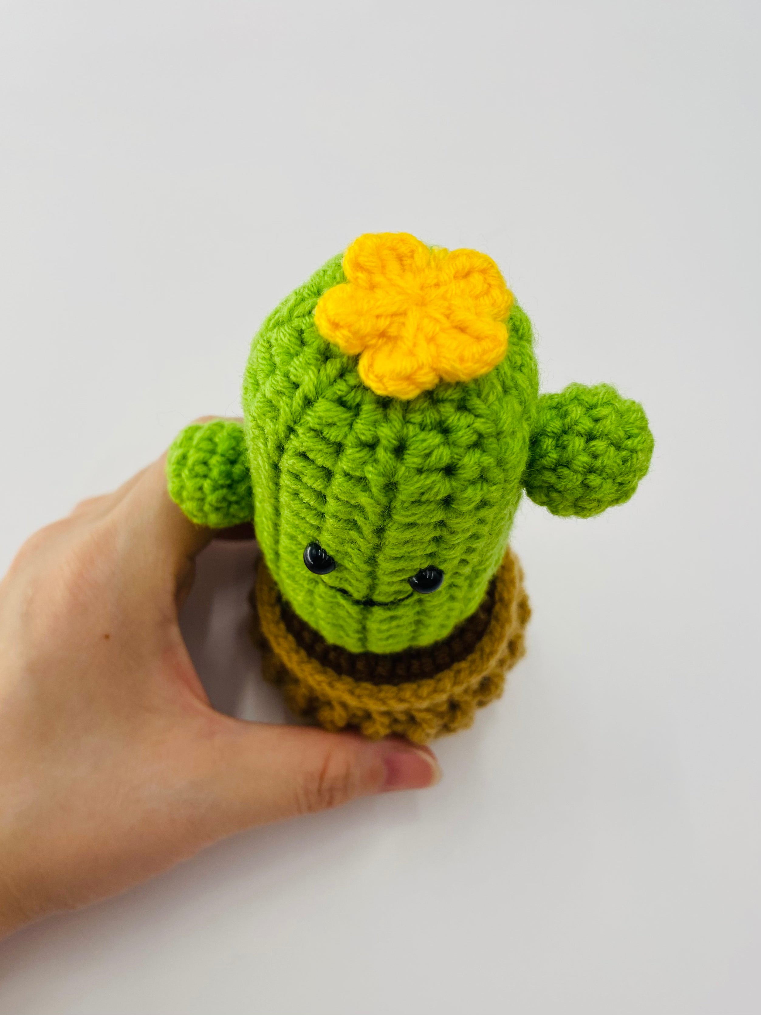 Crochet Pot Plant | Cactus