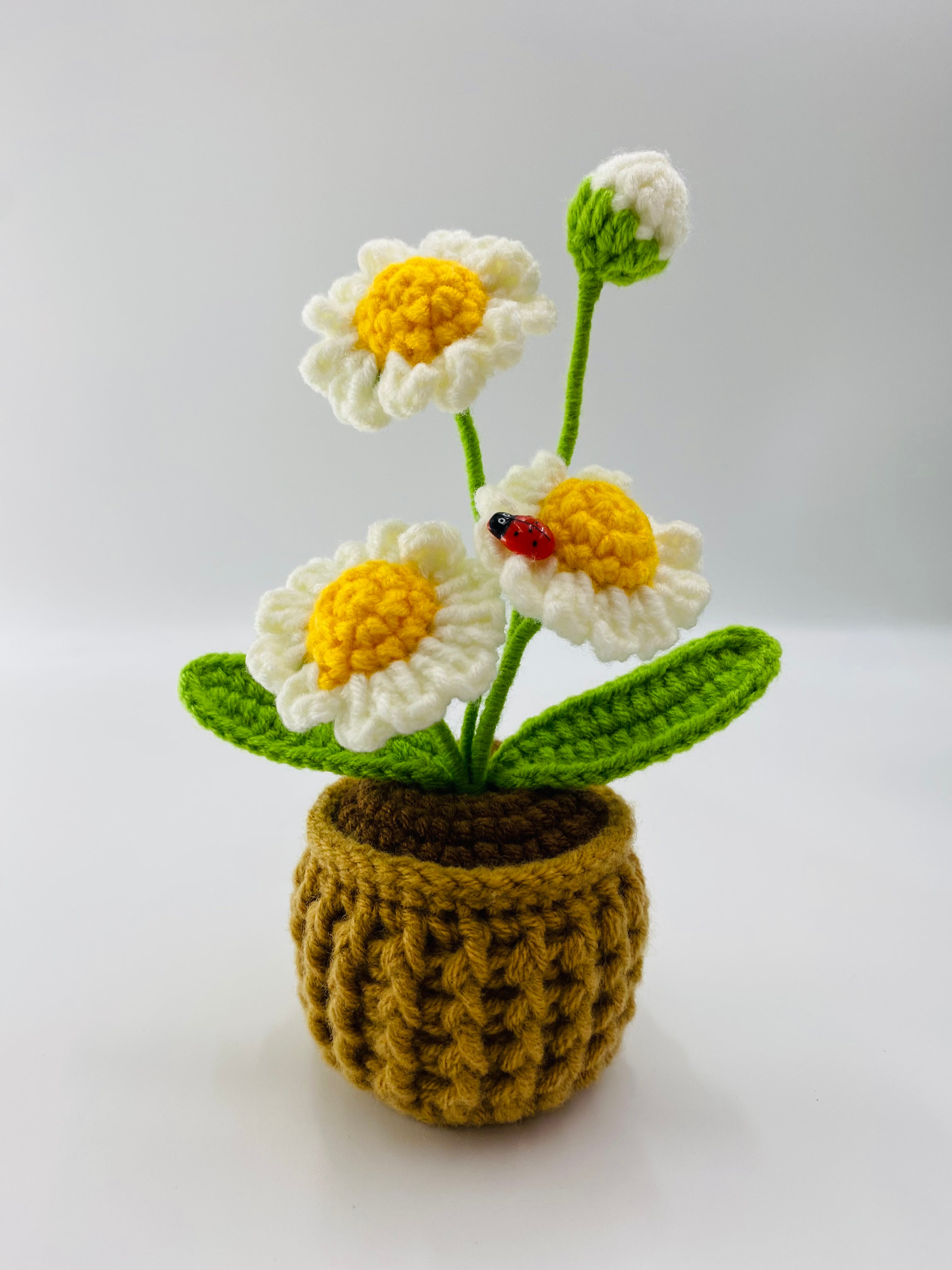 Crochet Pot Plant | Daisy