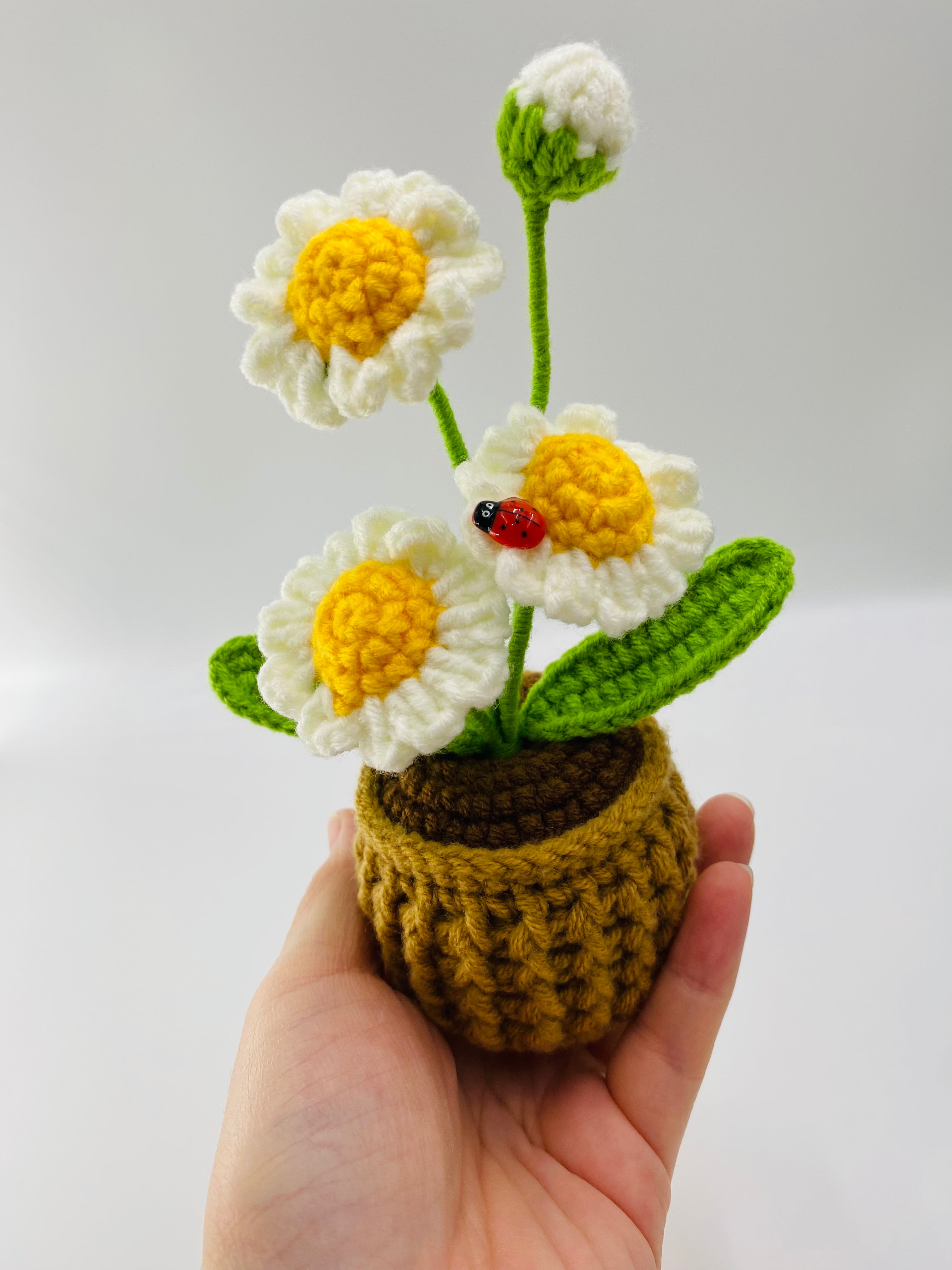 Crochet Pot Plant | Daisy