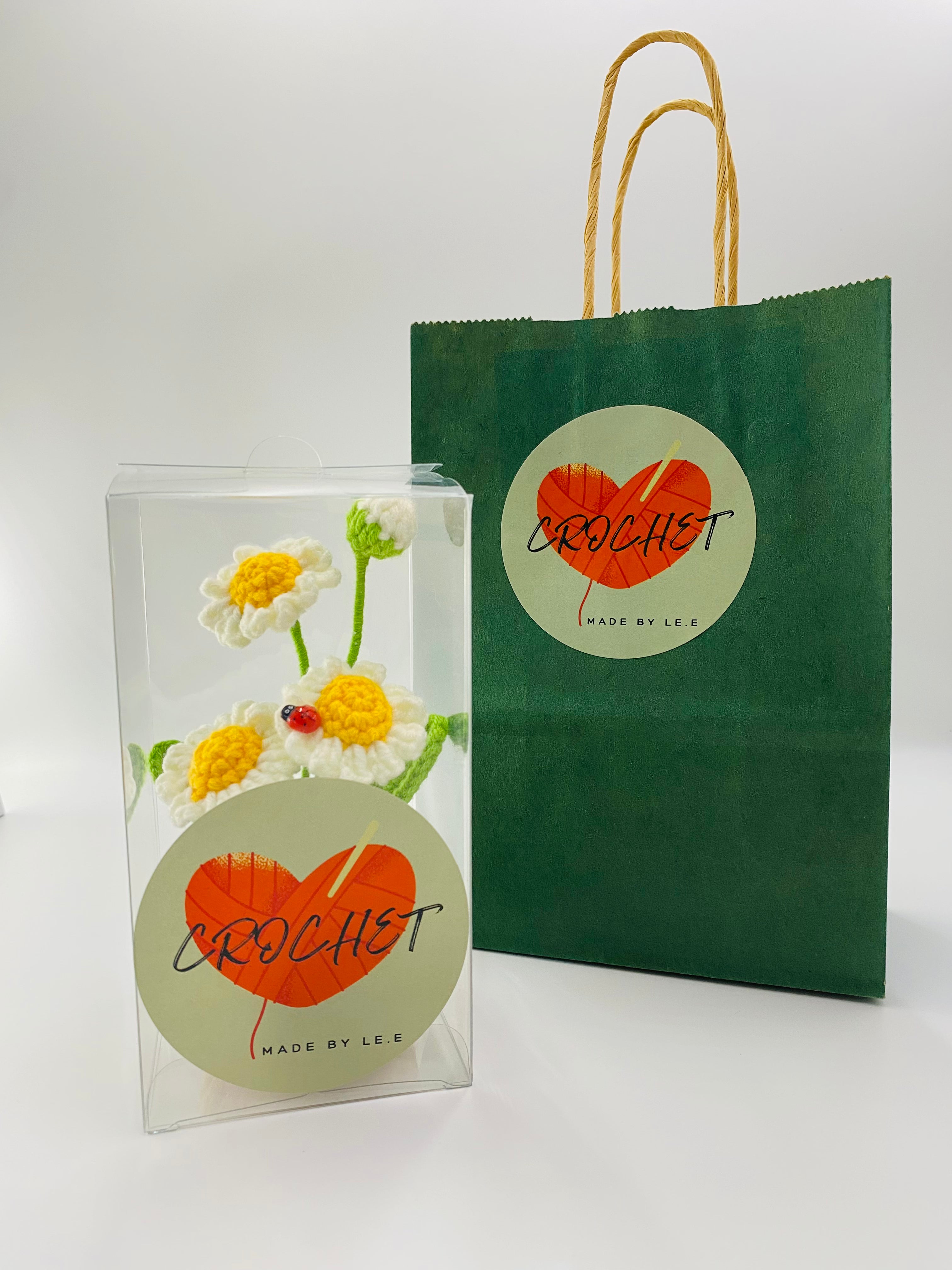 Crochet Pot Plant | Daisy