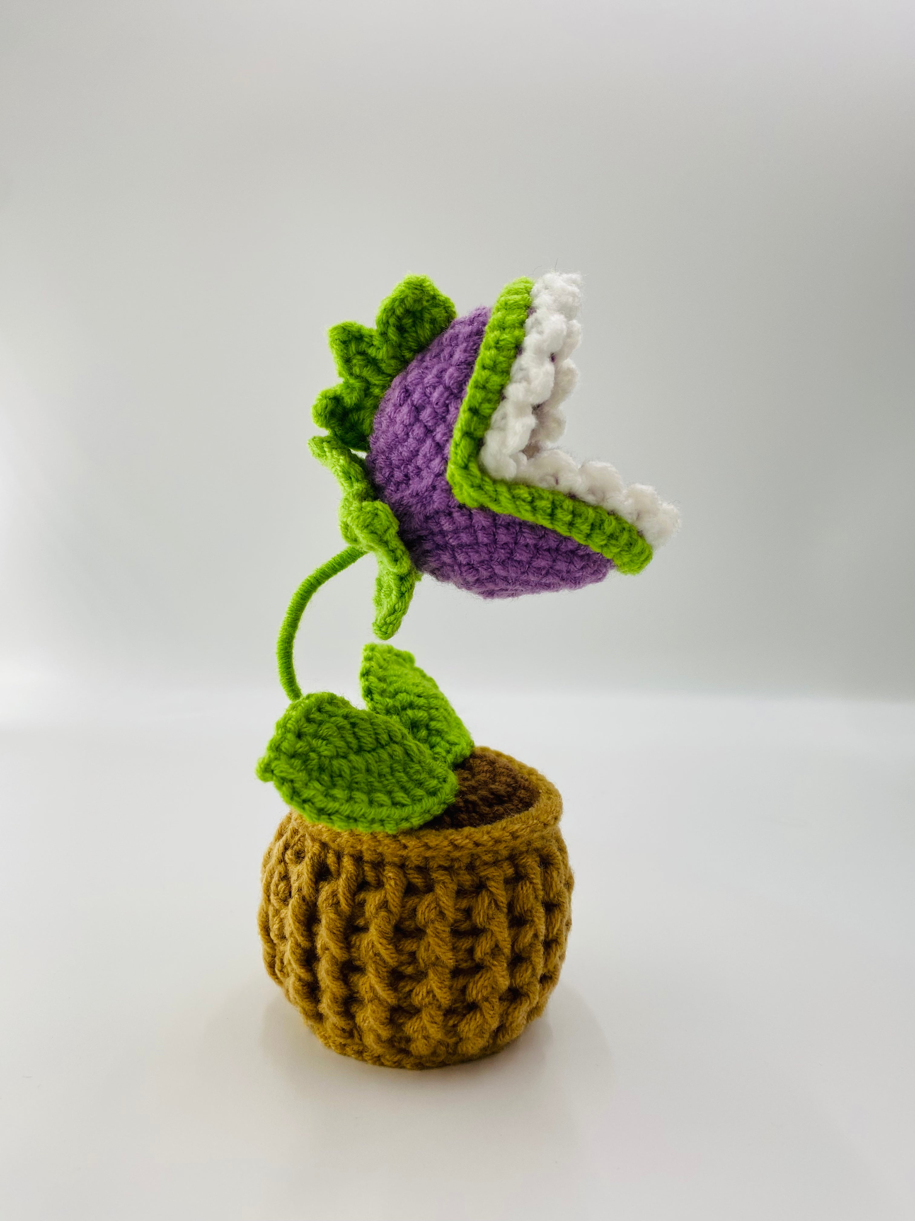 Crochet Pot Plant | Flytrap