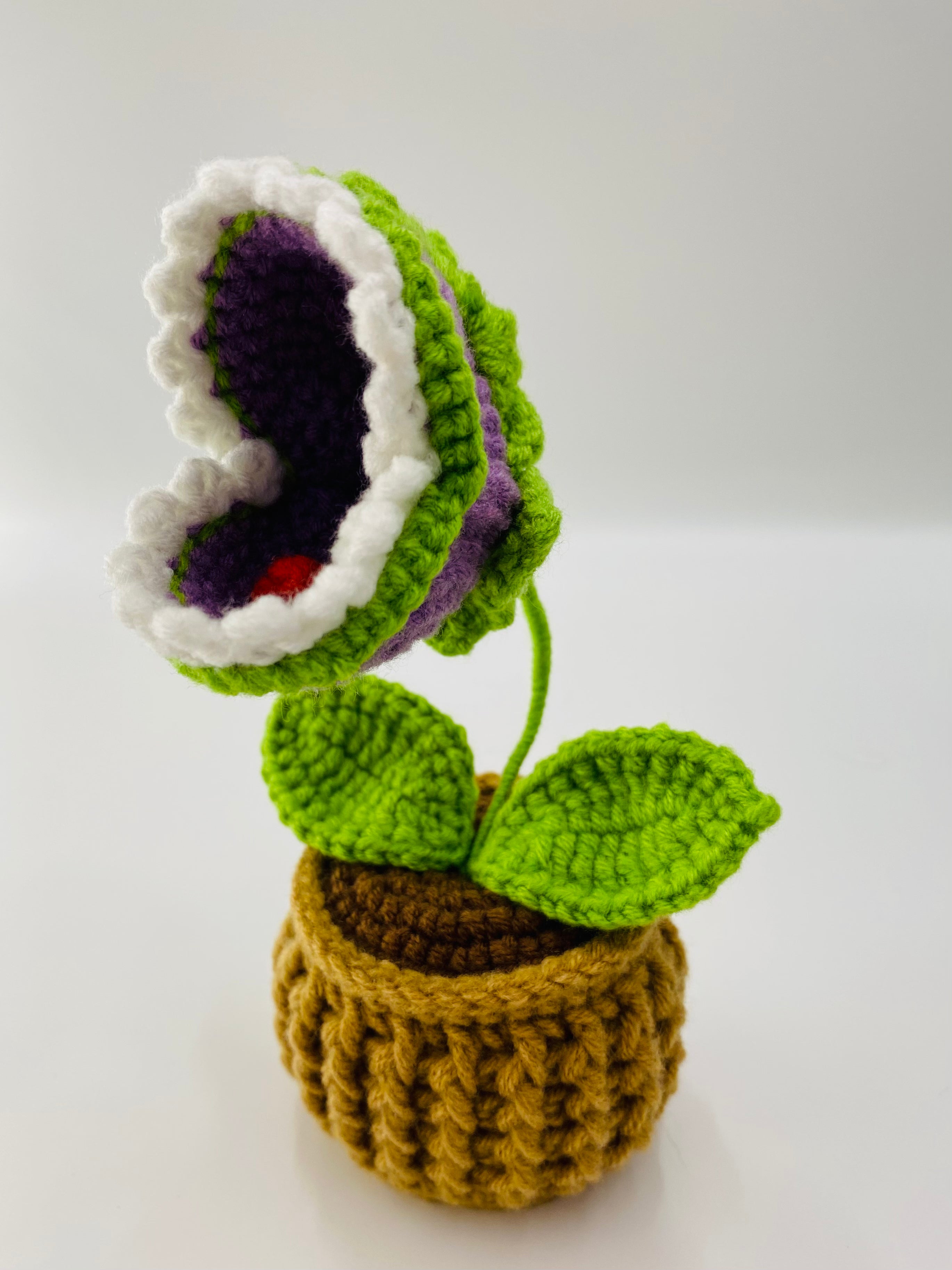 Crochet Pot Plant | Flytrap