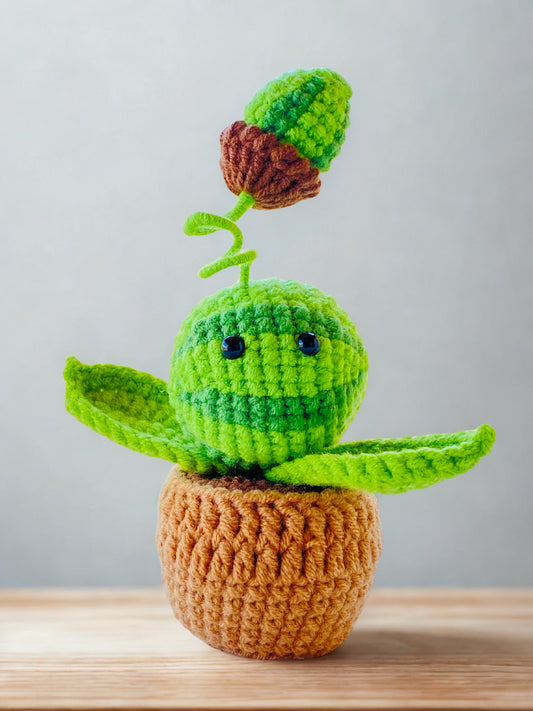 Crochet Pot Plant | Watermelon