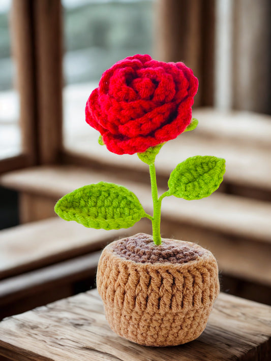 Crochet Pot Plant | Rose