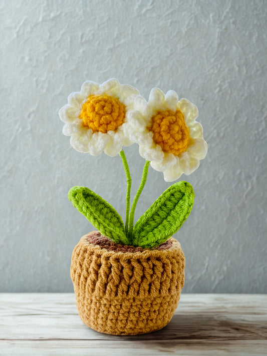 Crochet Pot Plant | Daisy