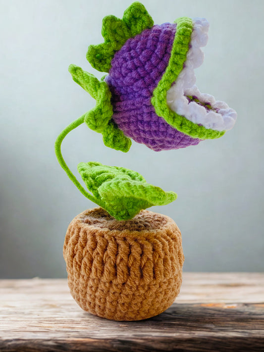 Crochet Pot Plant | Flytrap