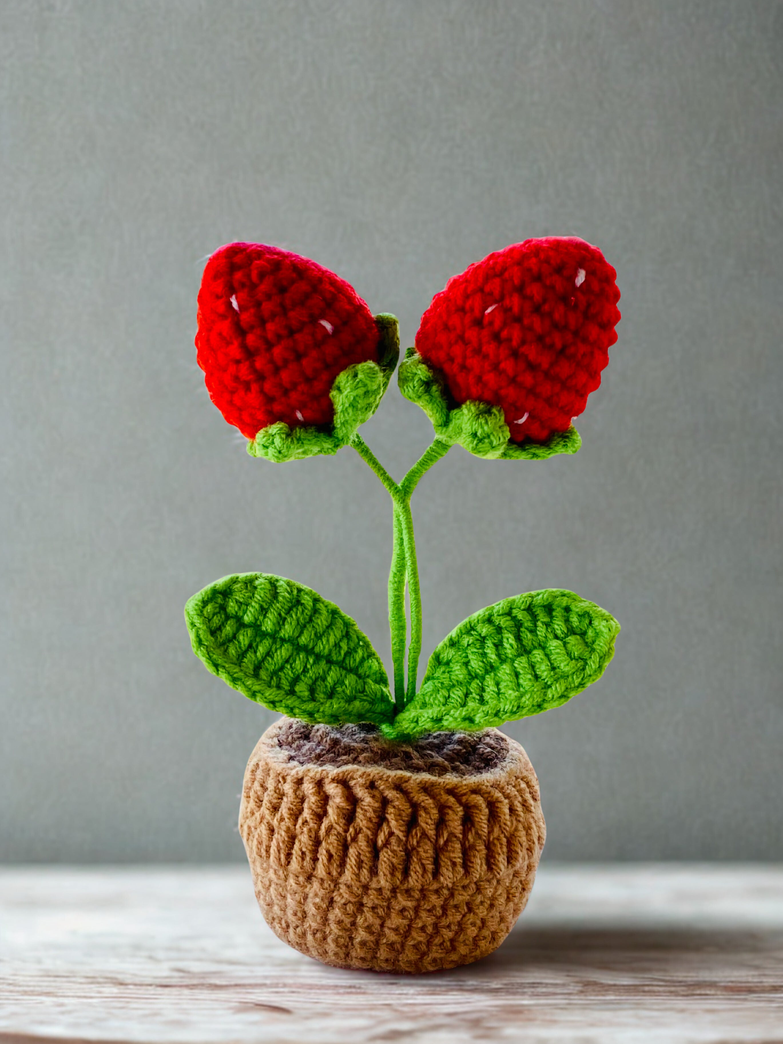 Crochet Pot Plant | Strawberry
