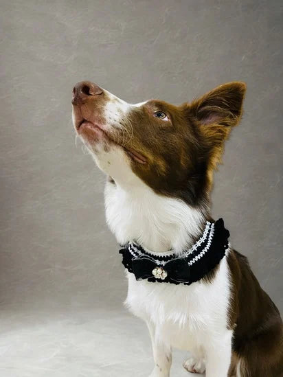 Black and white collars