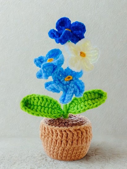 Crochet Pot Plant | Forget me not