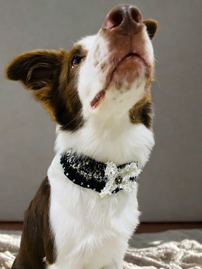 Black and white collars